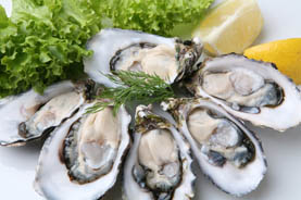 oysters