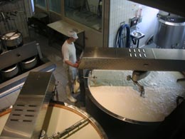photo of dairy processing plant