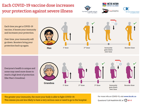 Each COVID-19 vaccine dose increases your protection against severe illness: click image link to open PDF in colour