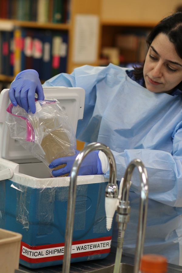 BCCDC Public Health Laboratory employee in protective gown and gloves removes wastewater samples from a cooler in the laboratory