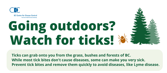 Going Outdoors Tick Infographic.PNG