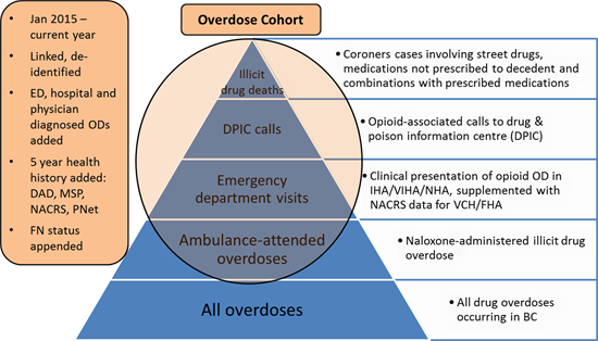 overdose-cohort-image.png