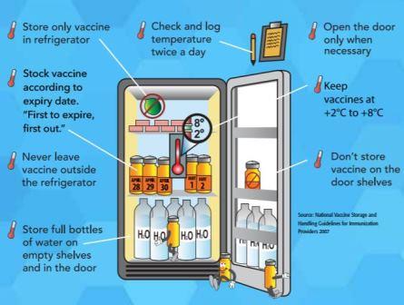 vaccine storage in refrigerator