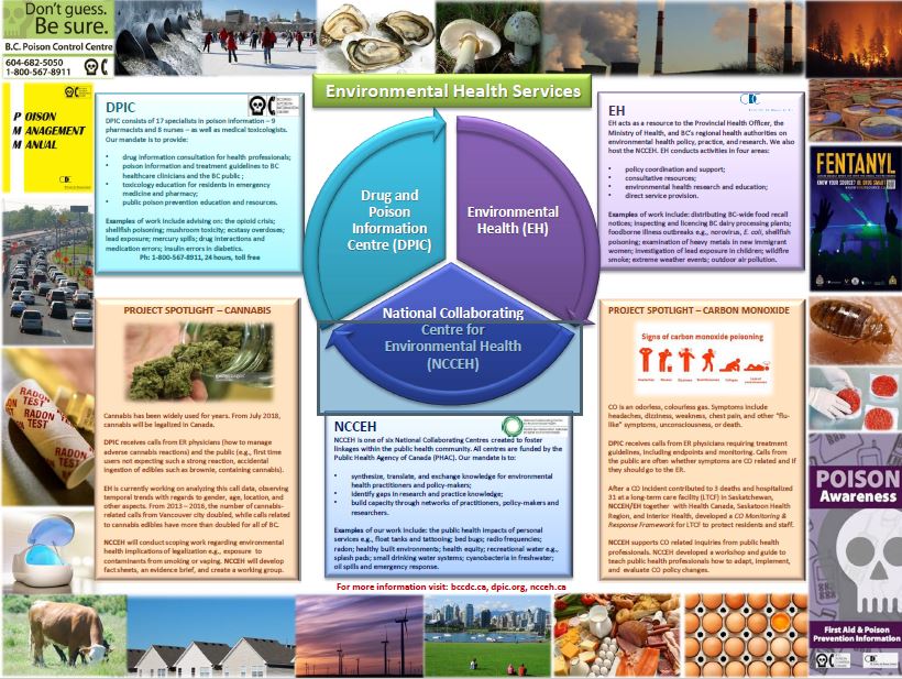 Environmental Health Services infographic