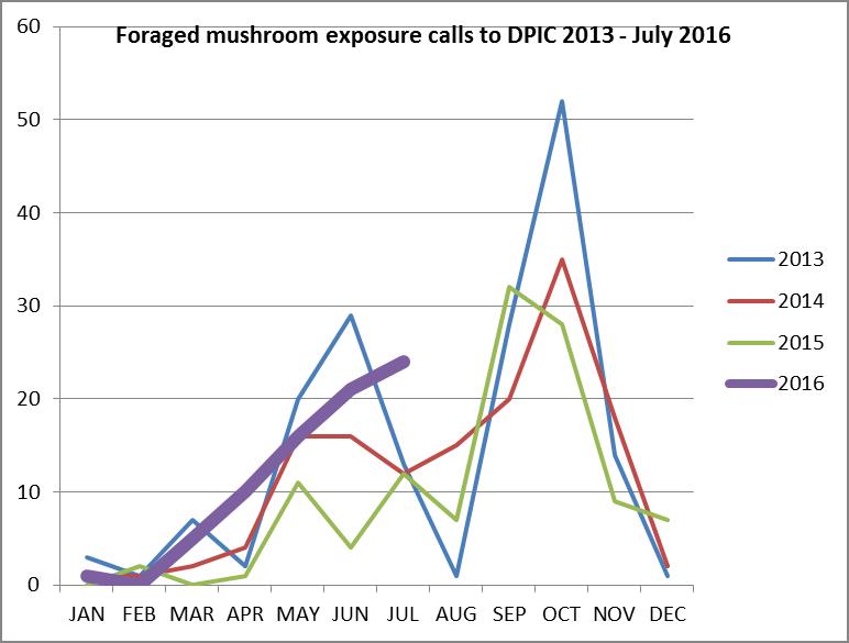 mushroom exposures.jpg