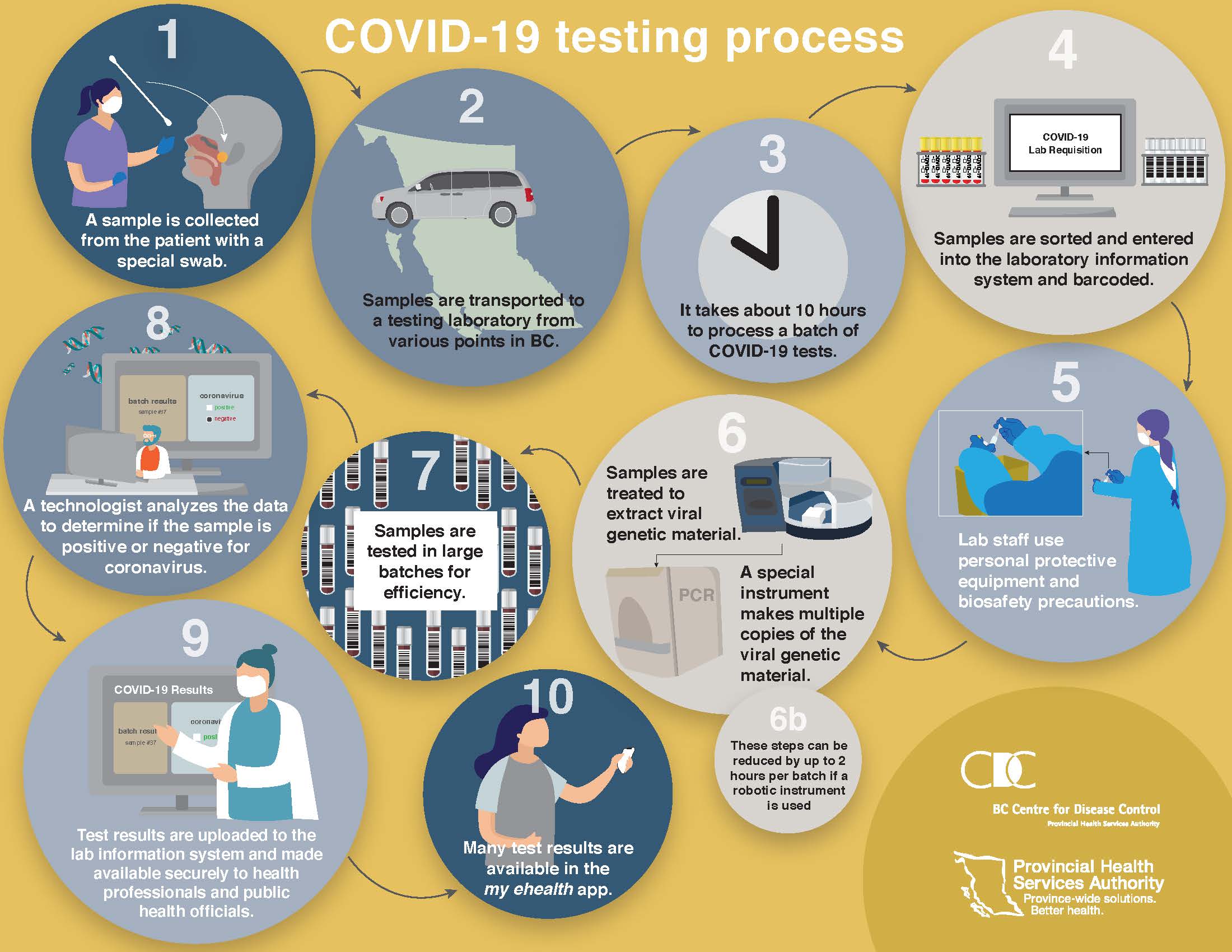 COVID-19 testing process infographic