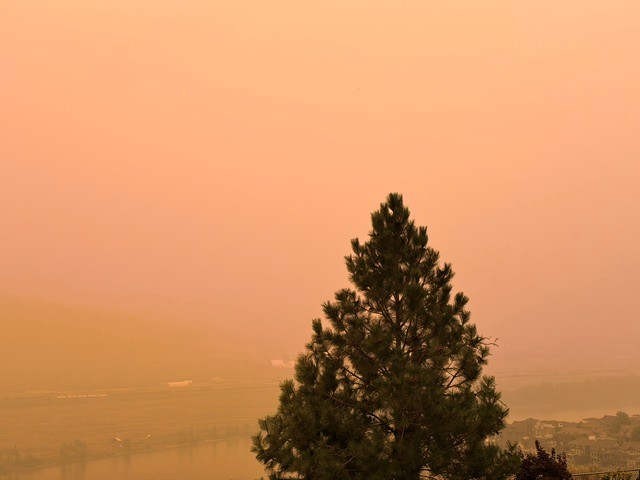 A single tree stands in a haze of smoke and orange light in Kamloops, BC